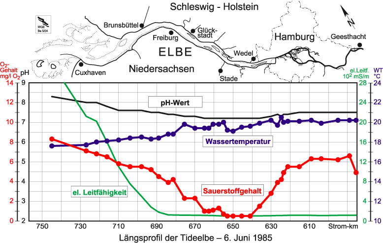 Längsprofil der Tideelbe 6. Juni 1985, O2-Loch von Blankenese bis Glückstadt